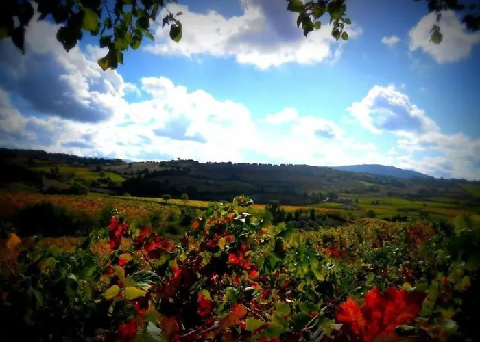 Pietro & Graziella Oda ve Kahvaltı